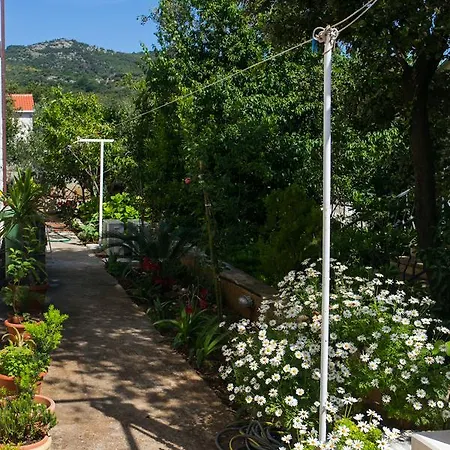 Apartman Marina *